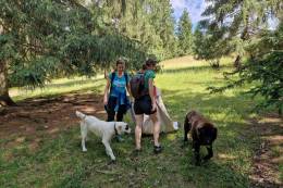 New research helps detect outbreaks of tick-borne encephalitis virus in Slovakia