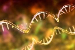 Úspech mladej vedkyne SAV v Nature Biotechnology: Objav, ktorý mení pohľad na RNA