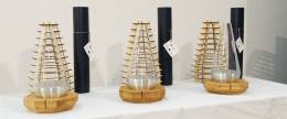 TWO RESEARCH TEAMS FROM SAS WON THE AWARD FOR TECHNOLOGY TRANSFER IN SLOVAKIA