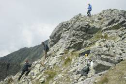 Otepľovanie mení európske rastliny: horské druhy...