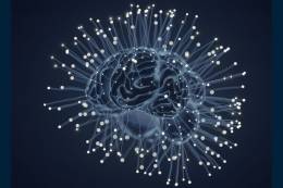 TÝŽDEŇ MOZGU Mozog pod jemným prúdom