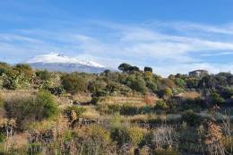 Krajinní ekológovia skúmali význam tradičných ovocných sadov