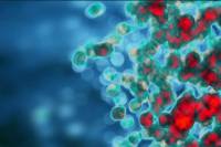 Scientists Find a Molecule That Improves Lung Disease Diagnosis