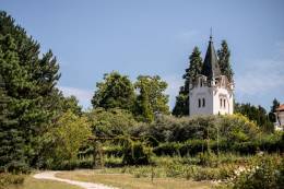 Vedci SAV oživujú regeneratívne agrolesníctvo:...