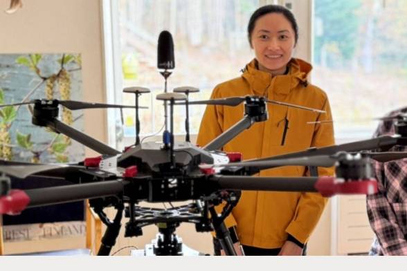 Ekológovia našli spôsob, ako zachrániť stromy pred lykožrútom