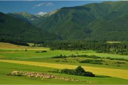 Stanovisko Komisie SAV pre životné prostredie a klimatickú...