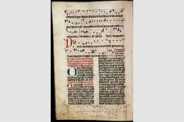 Pozvánka na on-line prednášku Dr. Rhianydd Hallasovej